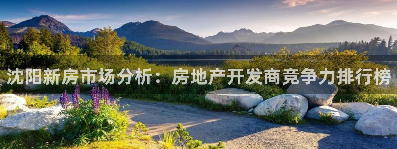 万向娱乐是野鸡台吗