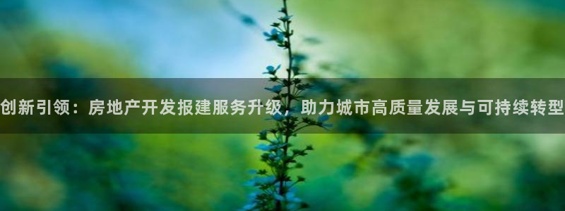 万向娱乐官网网址是什么