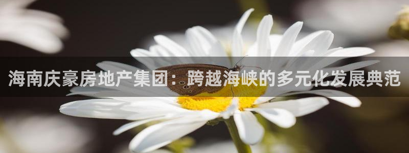 万向娱乐下载安装