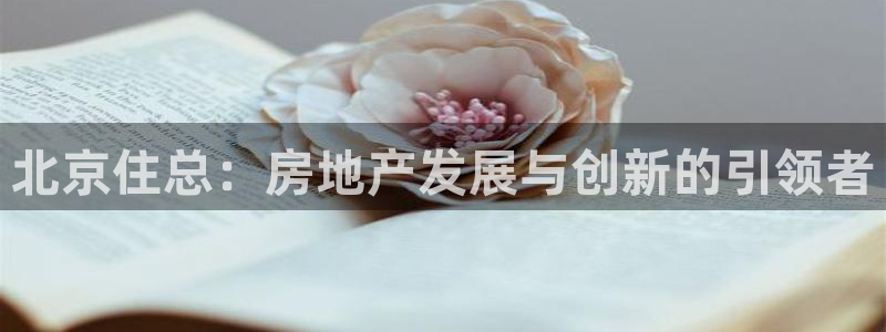 万向娱乐平台代理怎么做